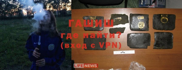 хмурый Абаза