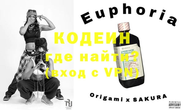 хмурый Абаза
