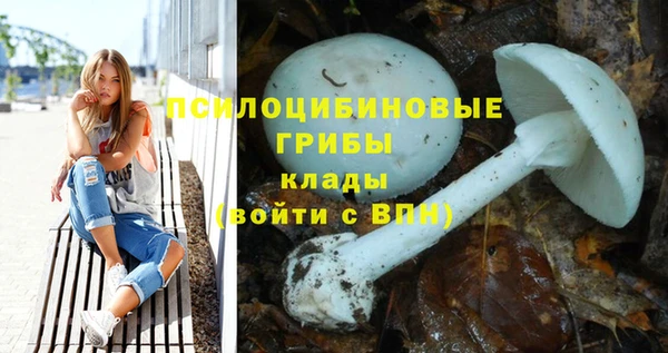 хмурый Абаза