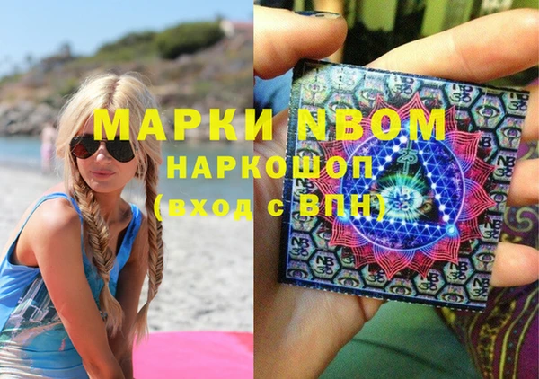 хмурый Абаза