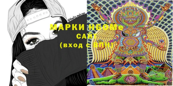 хмурый Абаза