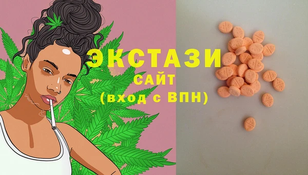 хмурый Абаза