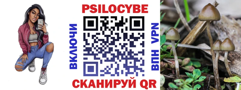 это телеграм  Людиново  Галлюциногенные грибы Psilocybe 