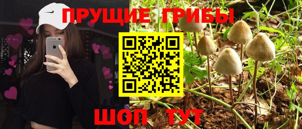 Галлюциногенные грибы мицелий  Вход с VPN  Людиново 