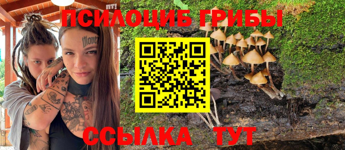 Псилоцибиновые грибы Magic Shrooms Людиново